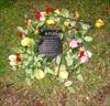  plaque and flowers at Brown in honor of Chuck and fallen brothers of Brown University.