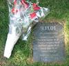  Flowers placed at base of tree planted for Chuck and other lost Delts of 9-11.  Morning of 

9-11-03.