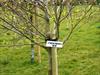  Chuck's name hangs on tree planted in Ireland.  There were trees planted for EVERY Firefighter lost on 9/11 in rows on a beautiful hillside on someones private property.