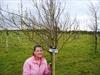  Here Christine Mitchell, the daughter of Lt. Paul Mitchell, Chuck's lifelong friend, standing beside a tree planted in Ireland in honor of Chuck.  As you can see, there is a tree for each of the firefighters lost on 9/11.  This was done on private proper