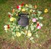  Wreath of flowers placed on 9-11-06 at Brown University