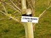  Close up of Chuck's name posted on a tree in Ireland.  There is one for every firefighter lost on 9/11...this beautiful gesture was done on someone's private property.